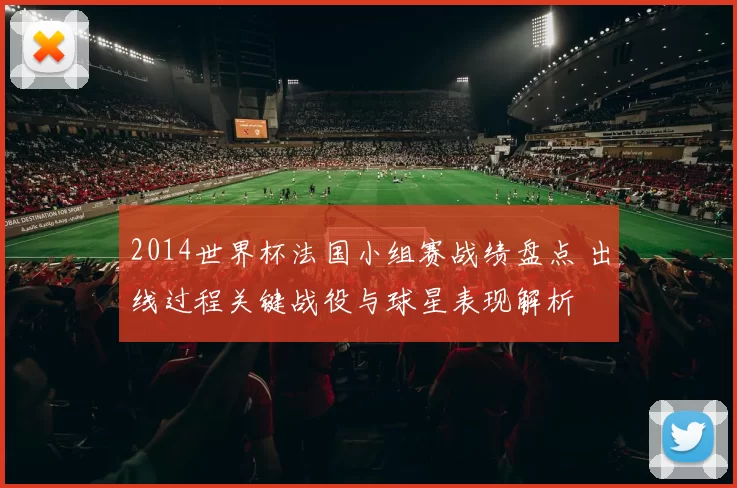 2014世界杯法国小组赛战绩盘点 出线过程关键战役与球星表现解析