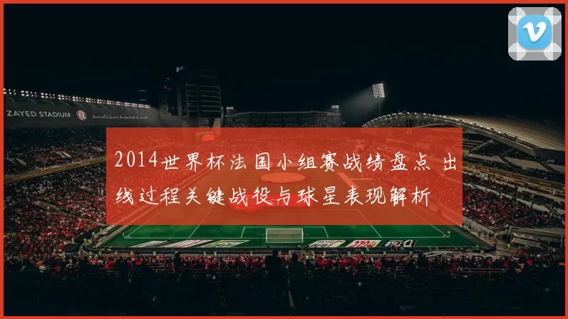 2014世界杯法国小组赛战绩盘点 出线过程关键战役与球星表现解析